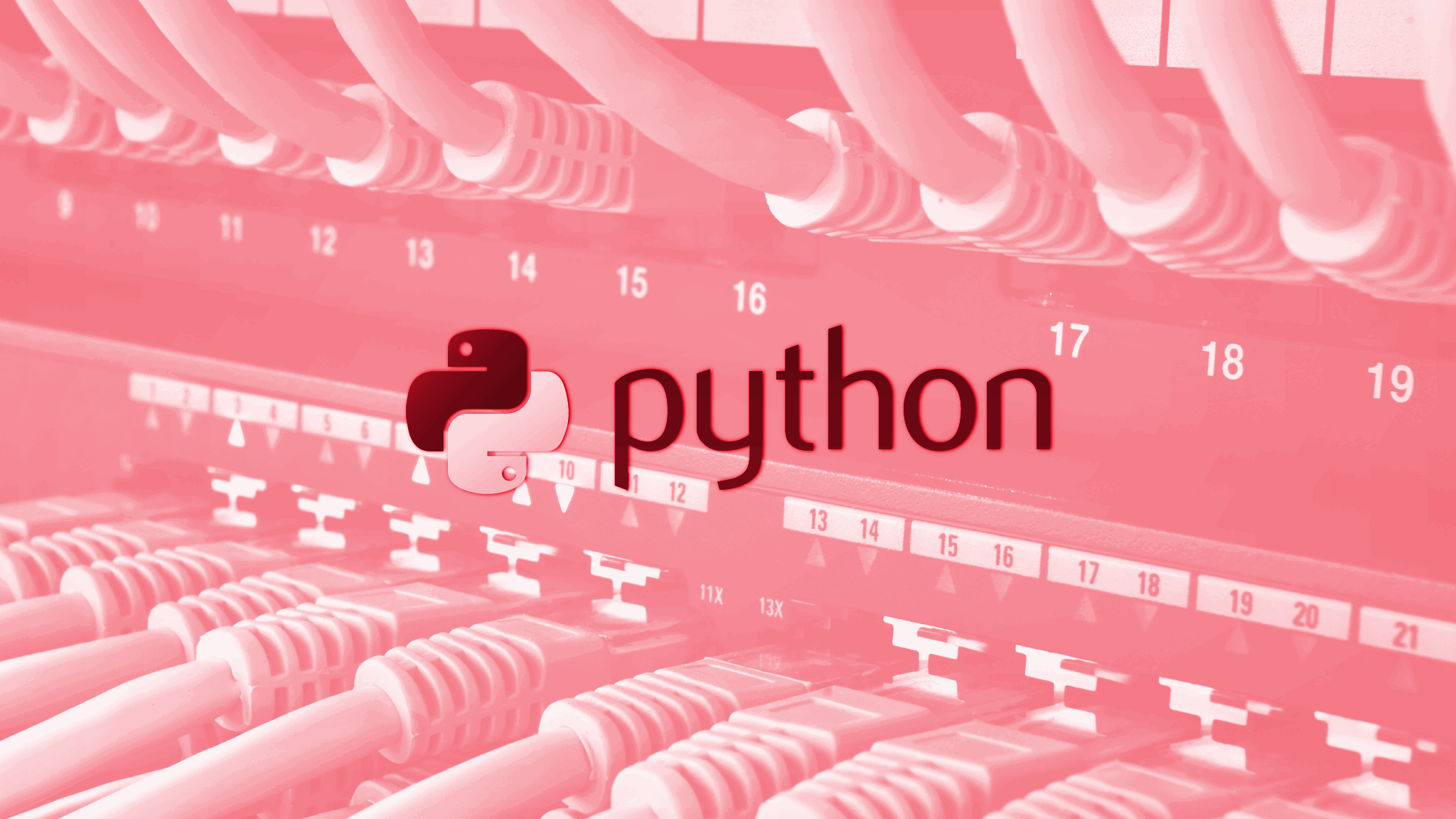 Automate Your Network Monitoring with Python and Scapy